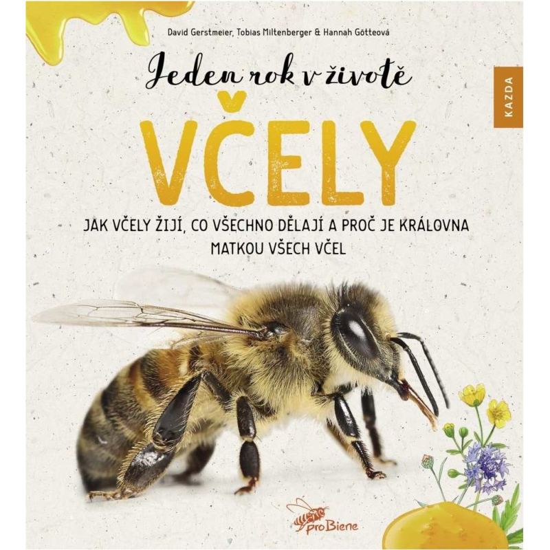 Jeden rok v životě včely (česky)