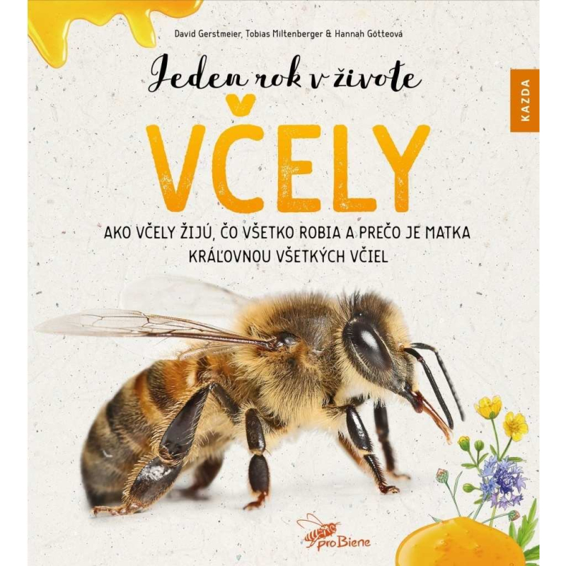 Jeden rok v životě včely (slovensky)