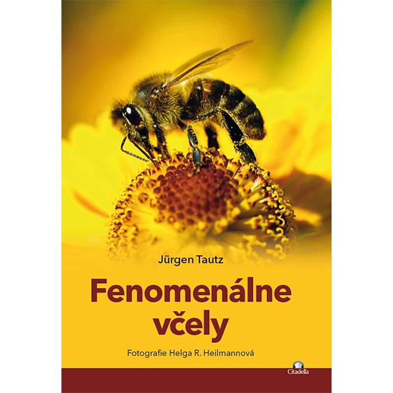 Fenomenlne vely