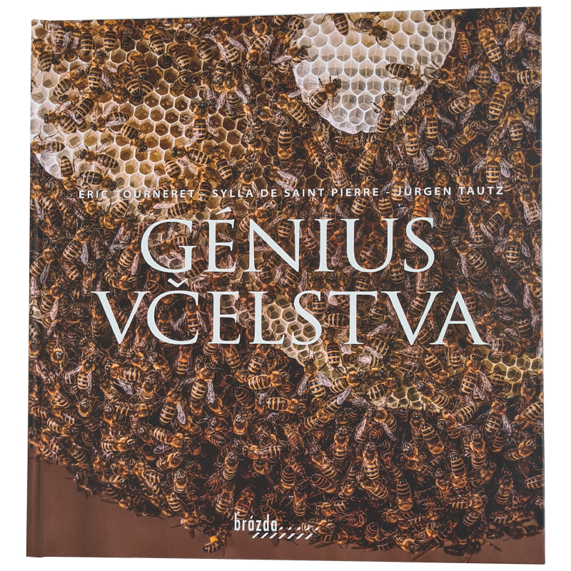 Gnius velstva